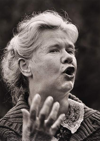 David Robinson - Appealing to the Crowd.jpg